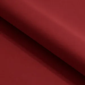 jupiter bordo 1