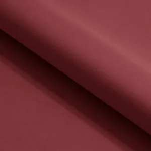jupiter bordo